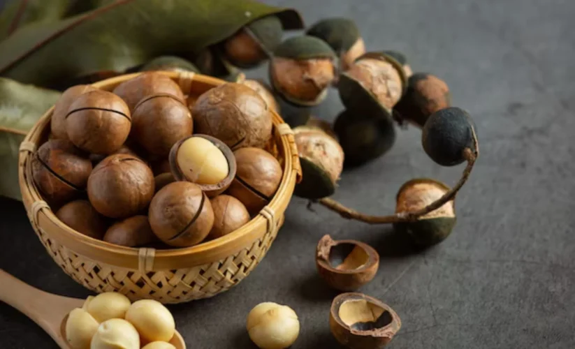 Why Macadamia Nuts Are the Ideal Appetizer